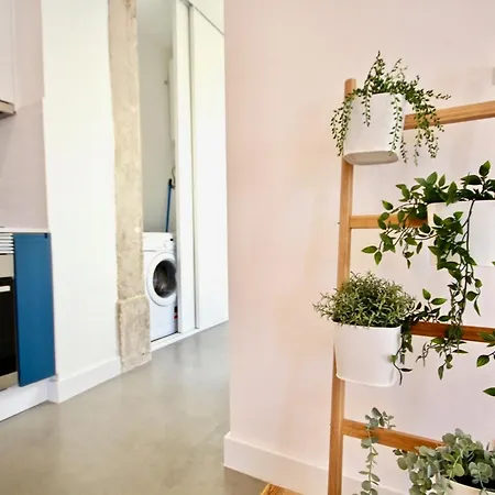 Akicity Anjos Cerulean Apartment
