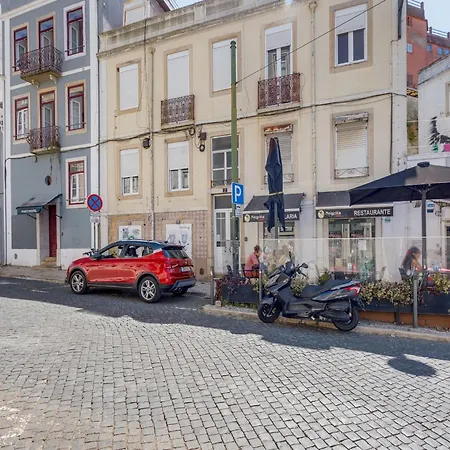 Akicity Anjos Cerulean